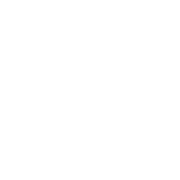 DNS