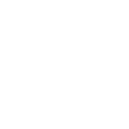 V4all